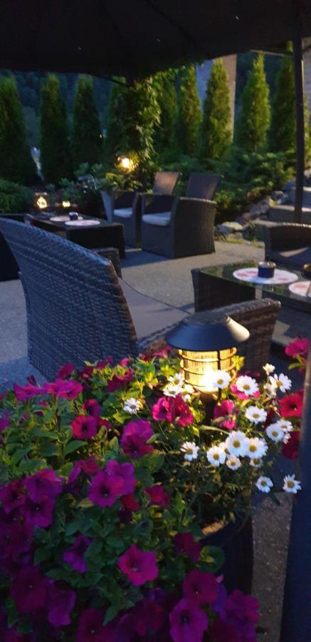 3 Appartement Dalen